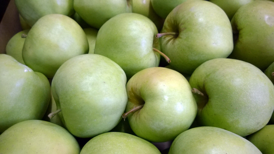 Exportador polaco de frutas, manzanas, peras, ciruelas, cerezas, mayorista Polonia 01